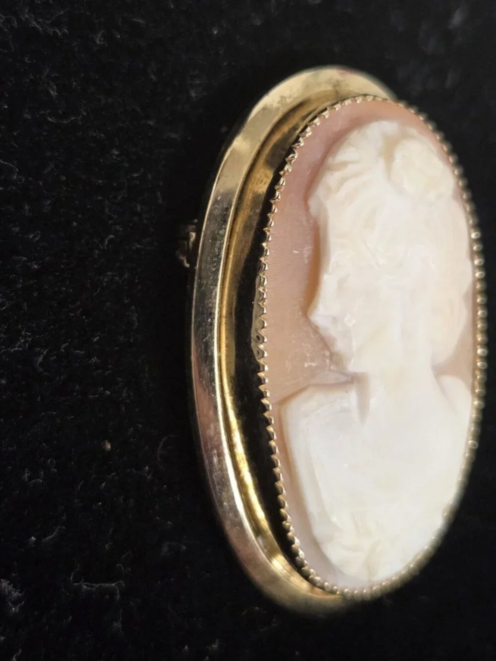 Vtg Catamore Shell Cameo Brooch 12K Gold Filled Hand Carved 1/20 12K GF Pin